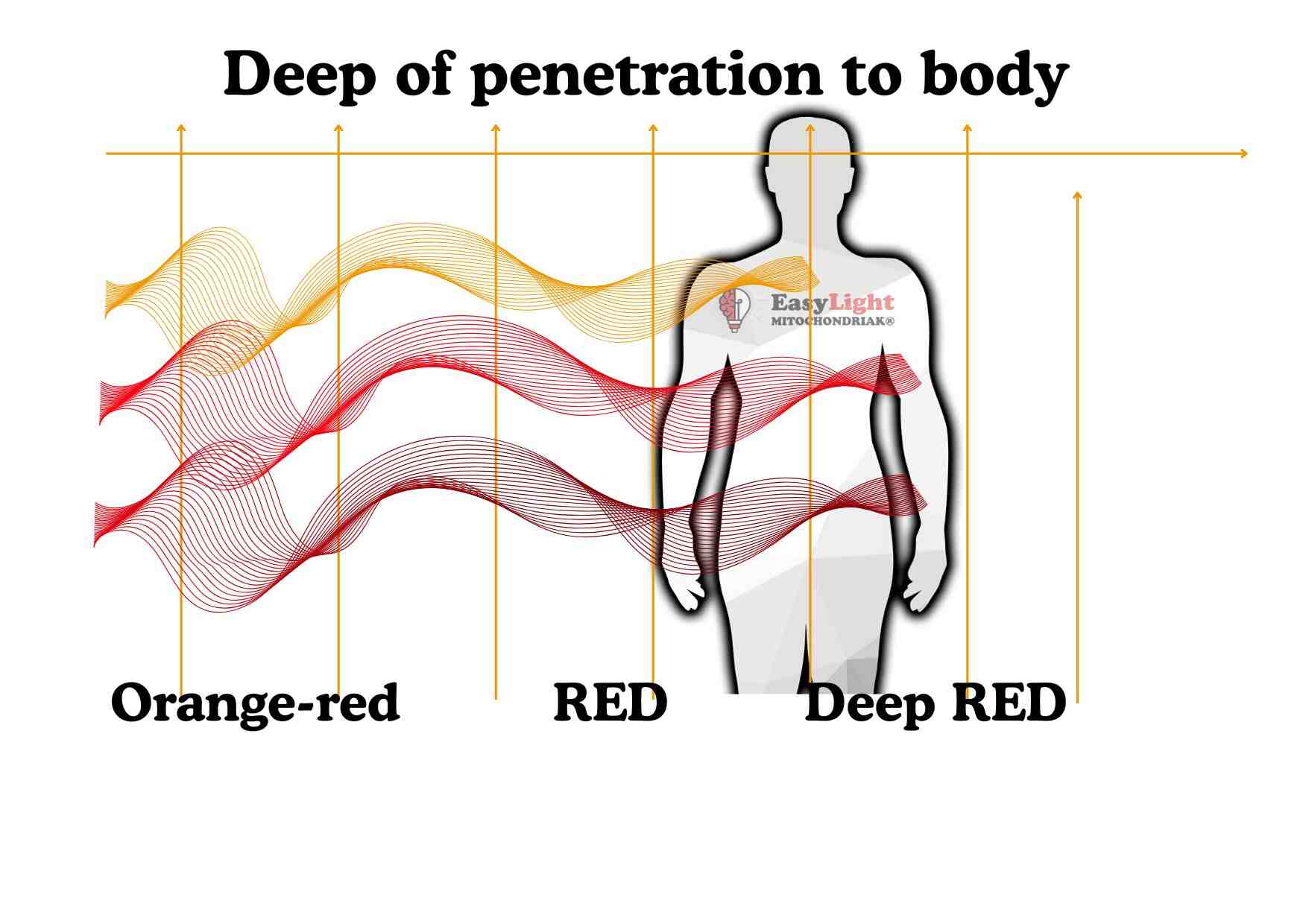 Mitochondriak® light therapy